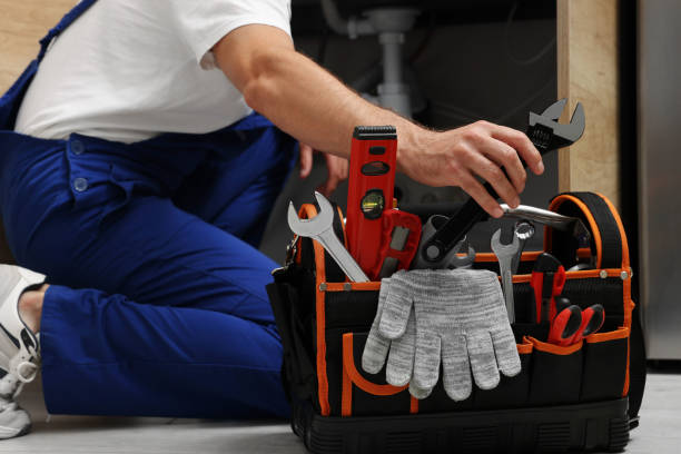 Best Plumbing Inspection Services  in Sun City Center, FL
